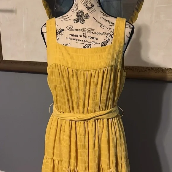 Slate & willow beautiful double lined dress. Elastic waist - Picture 5 of 8